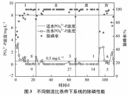 开云官网-美食推荐：啤酒烧排骨、芹菜猪肉夹饼、排骨番茄汤、霸王豆腐做法(图2)